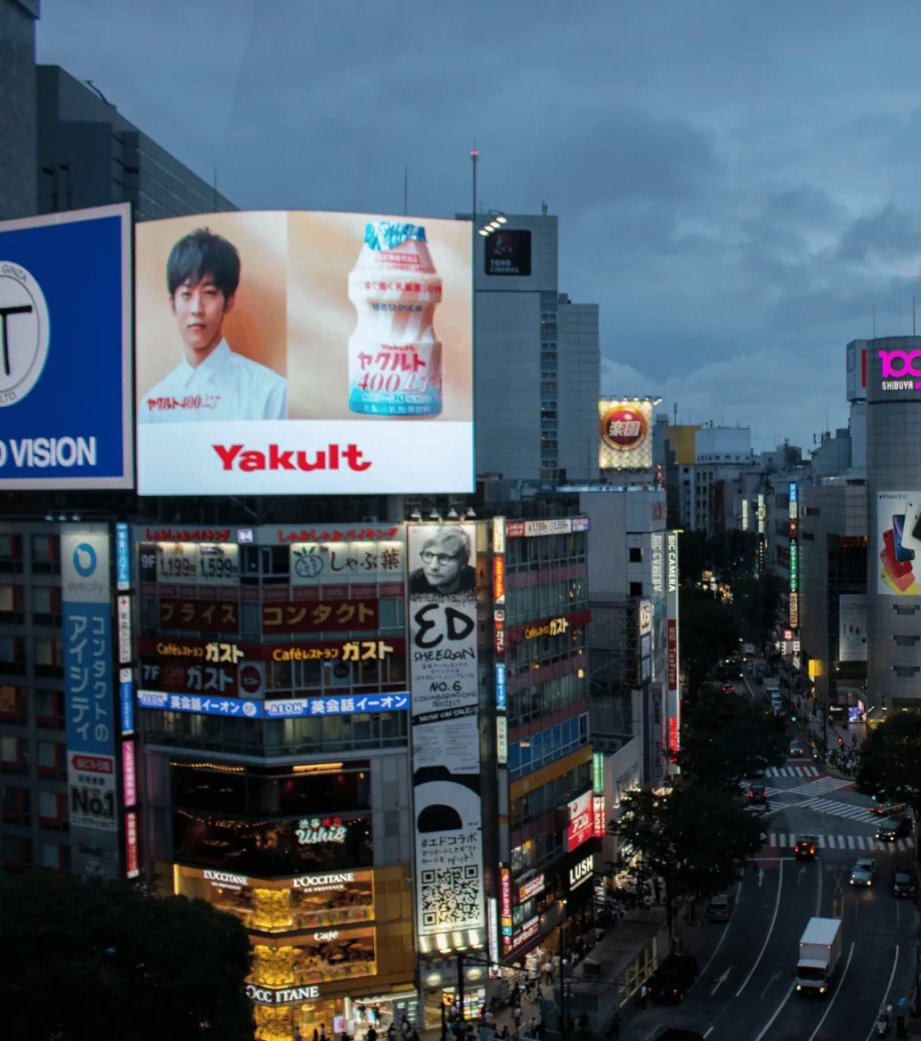 Display Advertising Services for High-Impact Growth